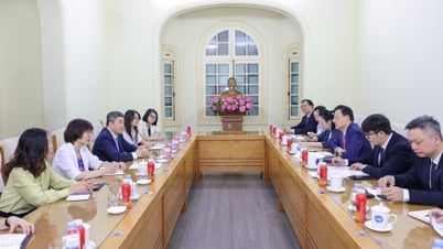 Làm sâu sắc quan hệ hợp tác giữa các địa phương Việt Nam và Quảng Tây (Trung Quốc)