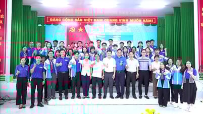 Sinh viên Trường Đại học Công nghệ TP Hồ Chí Minh tham gia Chiến dịch tình nguyện “Mùa hè xanh” tại xã Tân Thạnh