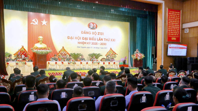 Nhà máy Z131 đạt doanh thu xuất khẩu tăng 15 lần