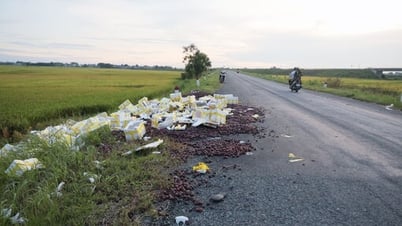 Rác thải tràn lan khu vực đường dẫn lên cầu vượt đường Hồ Chí Minh
