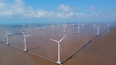 Lợi thế, tiềm năng để Cà Mau nhìn về mục tiêu 8,5% trong năm 2025