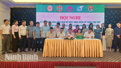 Chi nhánh Ngân hàng CSXH tỉnh triển khai nhiệm vụ 6 tháng cuối năm