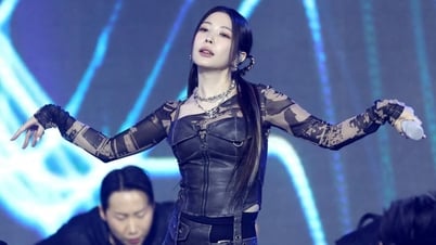 'Nữ hoàng nhạc pop' BoA bị hoại tử xương, hủy concert kỷ niệm 25 năm ca hát
