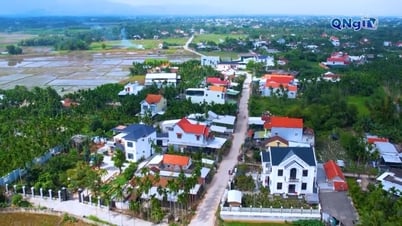 Xã Tư Nghĩa ưu tiên phát triển kinh tế gắn với chuyển đổi xanh