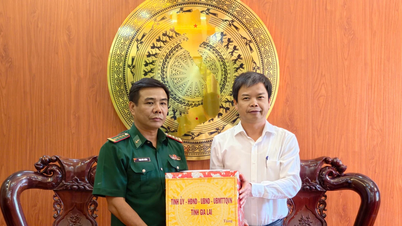 Phó Chủ tịch UBND tỉnh Nguyễn Hữu Quế làm việc với Hải đoàn Biên phòng 48