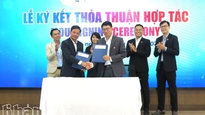 Trường Đại học Thái Bình Dương ký kết hợp tác với 3 khu nghỉ dưỡng hàng đầu tại Khánh Hòa