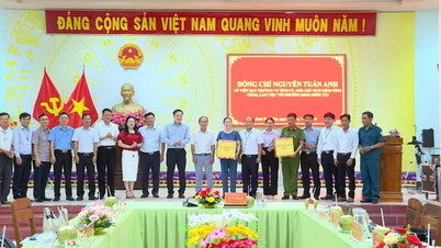 Hoài Nhơn Tây và Hoài Nhơn Bắc cần áp dụng AI để nâng cao hiệu quả công việc