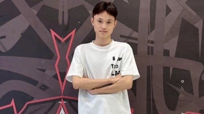Mồ côi cha, nam sinh nỗ lực vươn lên trở thành thủ khoa khối A00 toàn quốc