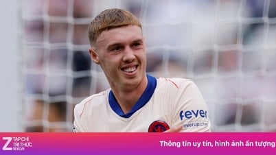 Lời đề nghị biến Palmer thành 'bom tấn' thế kỷ, phá kỷ lục của Neymar
