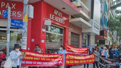 Vì sao chuyển đơn phụ huynh tố cáo Apax Leaders sang Phòng Cảnh sát Kinh tế?