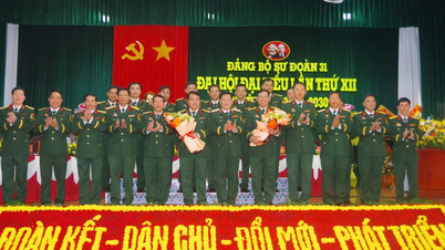 Đại hội đại biểu Đảng bộ Sư đoàn 31