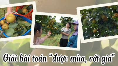 Giải bài toán “được mùa, rớt giá”