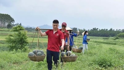 Tuổi trẻ Agribank vì cộng đồng