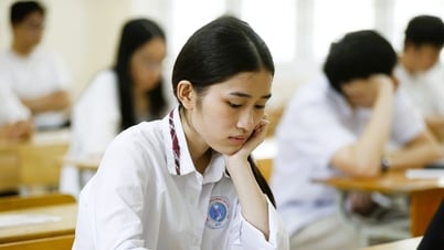 Xếp hạng điểm thi tốt nghiệp THPT môn Lịch sử 2025 theo thứ tự 63 tỉnh, thành cũ