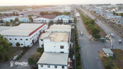 Sửa đổi quy định về đơn giá thuê đất trên địa bàn tỉnh Đồng Nai