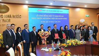 Ra mắt Ủy ban Rủi ro thuộc Hiệp hội Ngân hàng Việt Nam