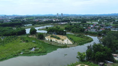Độc đáo vườn chim nhân tạo ở bờ sông Đông