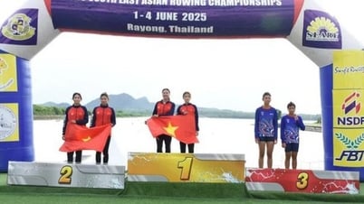 Tặng Bằng khen cho các HLV, VĐV đạt thành tích xuất sắc