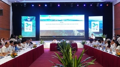 Quảng Trị và WWF Việt Nam mở rộng hợp tác chiến lược vì phát triển bền vững