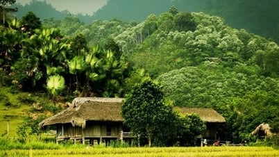 El turismo en Vietnam y el problema del desarrollo sostenible