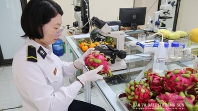 Tăng tốc thông quan – thúc đẩy hoa quả tươi xuất khẩu