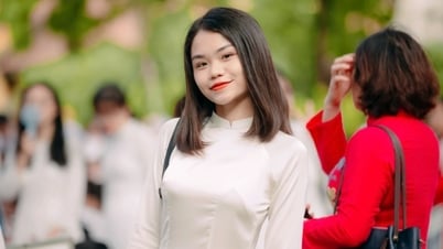 Top 10 trường Hà Nội có điểm trung bình môn thi tốt nghiệp THPT cao nhất