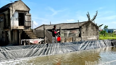 Hiệu quả từ các mô hình kinh tế tập thể