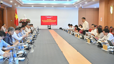 Nhìn rõ thực trạng để phát triển nguồn nhân lực chất lượng cao