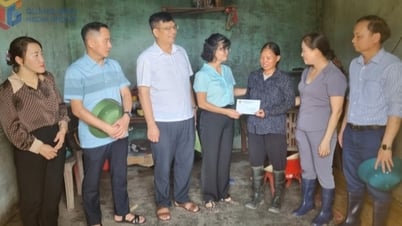 Hội Nông dân tỉnh: Tích cực tham gia các hoạt động an sinh xã hội