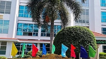 Điểm chuẩn Đại Học Công Nghiệp TPHCM 2025