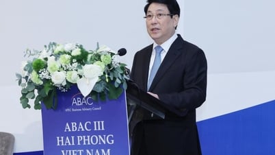 Chủ tịch nước: Các sáng kiến từ ABAC là động lực cho sự phát triển bền vững