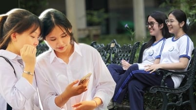 Thí sinh ở TPHCM là thủ khoa khối B00 với 3 điểm 10 tuyệt đối