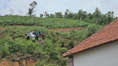 Chủ động phòng chống thiên tai từ cơ sở