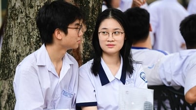 Xếp hạng 63 tỉnh thành cũ theo điểm thi khối D01 tốt nghiệp THPT 2025
