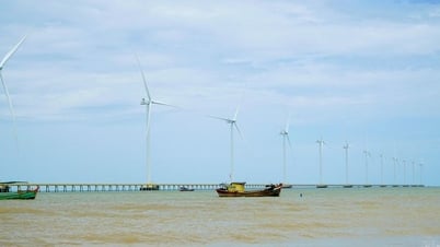 Định hướng phát triển các ngành kinh tế tiềm năng