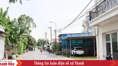 Phường Tĩnh Gia dự kiến đổi tên tổ dân phố bị trùng