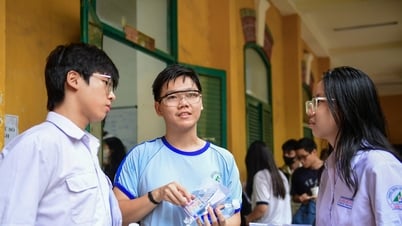 Xếp hạng 34 tỉnh thành điểm thi khối D01 tốt nghiệp THPT 2025, Nghệ An số 1