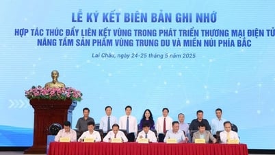 Hỗ trợ doanh nghiệp tận dụng tối đa cơ hội từ nền kinh tế số