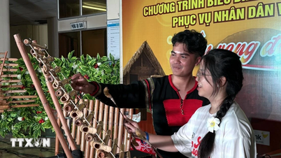 Trại hè Việt Nam 2025: Tuổi trẻ kiều bào giao lưu văn hóa cồng chiêng