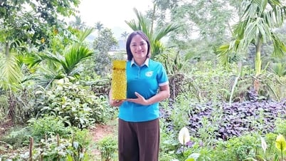 Từ ngại giao tiếp đến bán hàng online thành công