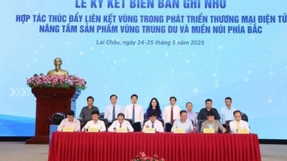 Nâng tầm doanh nghiệp số thông qua đào tạo chuyên sâu và liên kết vùng