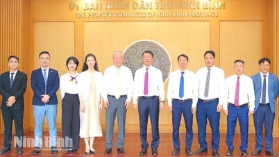 Lãnh đạo UBND tỉnh làm việc với Tập đoàn Xây dựng Thái Bình Dương