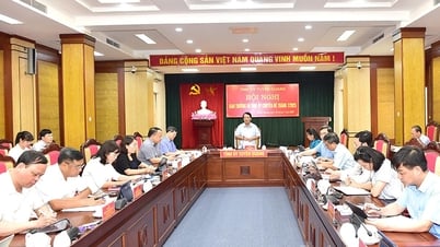 Hội nghị Ban Thường vụ Tỉnh ủy chuyên đề tháng 7-2025