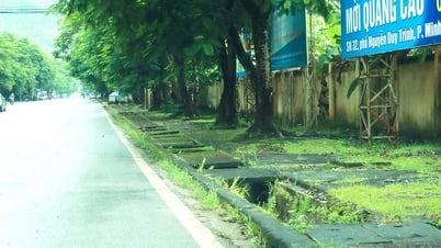 Nguy hiểm rình rập từ rãnh thoát nước bị mất nắp tại phường Hà Giang 2