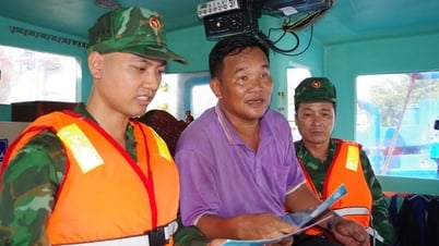 Gia Lai tăng tốc triển khai các biện pháp chống khai thác IUU