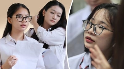 Thí sinh giành điểm 10 môn "mới lạ" thi tốt nghiệp có kết quả ra sao?