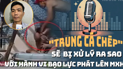 Audio AI: "Trung cá chép" sẽ bị xử lý ra sao với hành vi bạo lực phát lên mạng?
