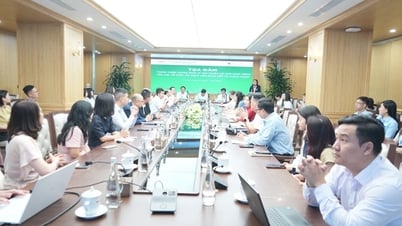 Tài chính xanh vẫn gặp rào cản là khuôn khổ pháp lý