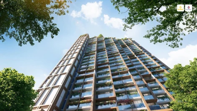 Giá bán Xanh Island Cát Bà năm 2025 bao nhiêu? 3 yếu tố tác động