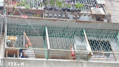 Tổng hợp thông tin báo chí liên quan đến TP. HCM ngày 16/7/2025